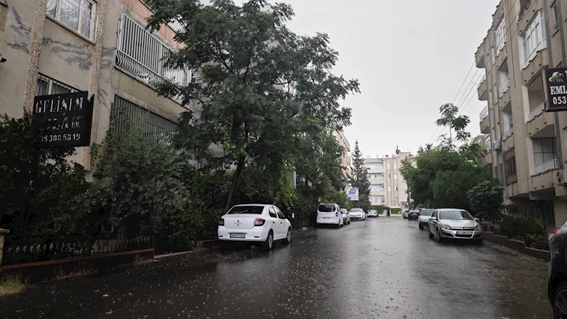 Şanlıurfa’da sağanak yağış etkili oldu