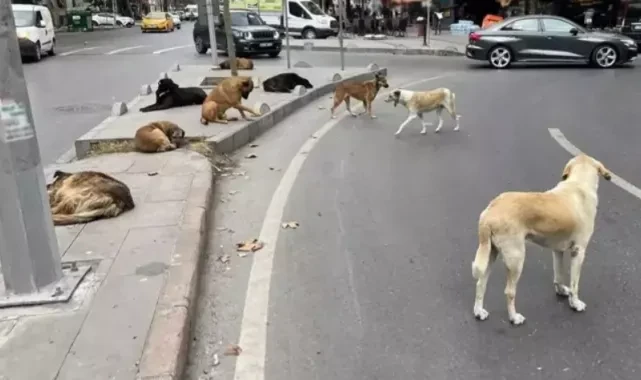 AYM