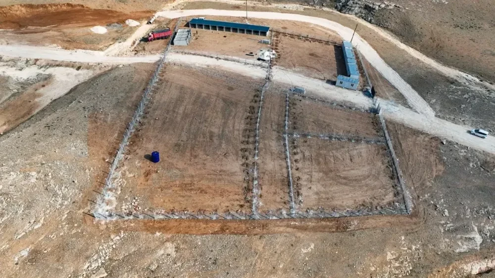 Harran Belediyesi Sokak Hayvanlarını Unutmadı