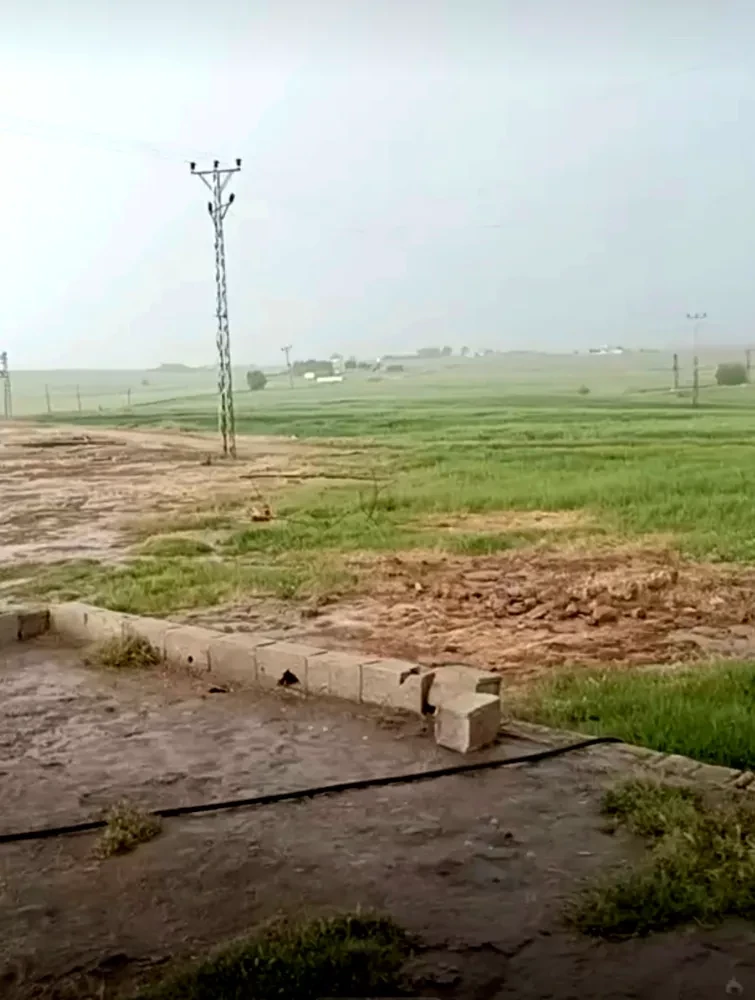Harran