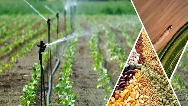 Tarımsal Destekleme Ödemesi Hesaplara Aktarılıyor