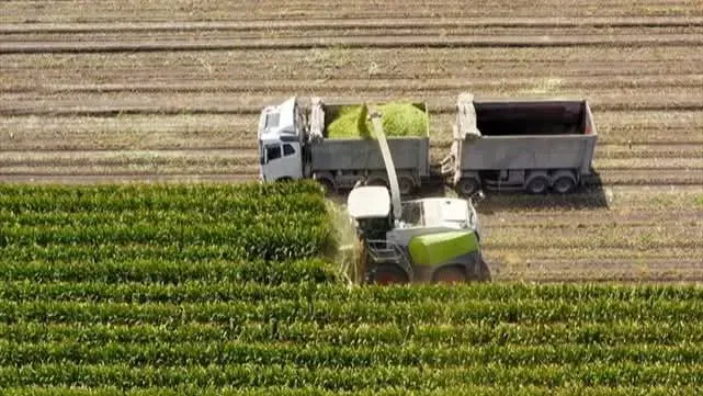 Tarımsal Destek Ödemesi Çiftçilerin Hesaplarına Aktarılıyor