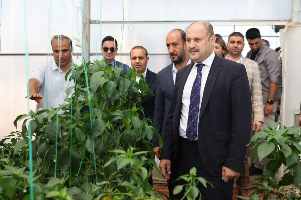 Şanlıurfa Büyükşehir Belediyesi, Ata Tohumuna Sahip Çıkıyor