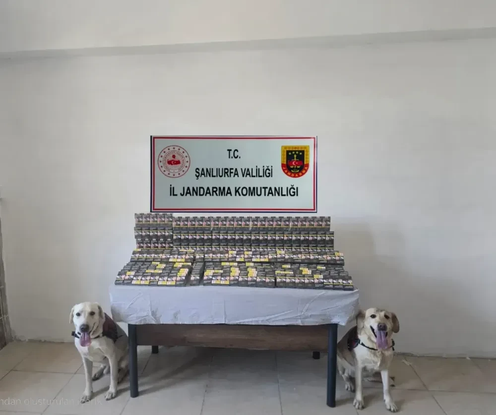 Şanlıurfa Jandarmasından Kaçak Sigara Operasyonu