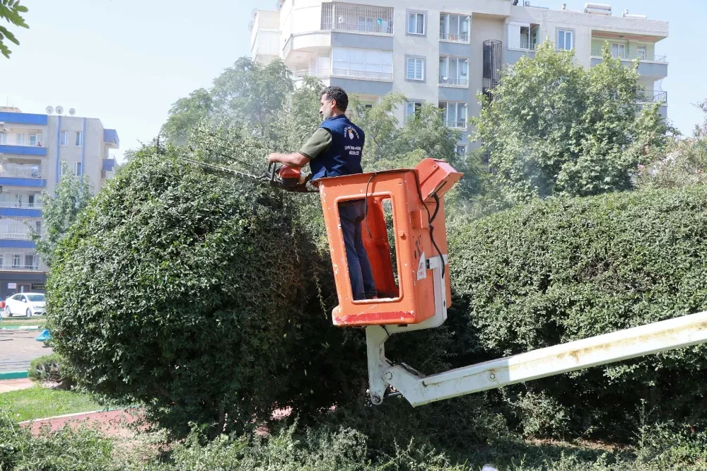 Haliliye Belediyesi’nden Parklara Yenileme ve Güzelleştirme Çalışması