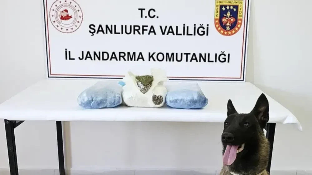 Şanlıurfa