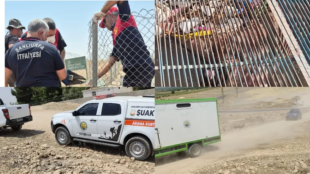 Şanlıurfa’da Sulama Kanalında Kaybolan Gençten Acı Haber!