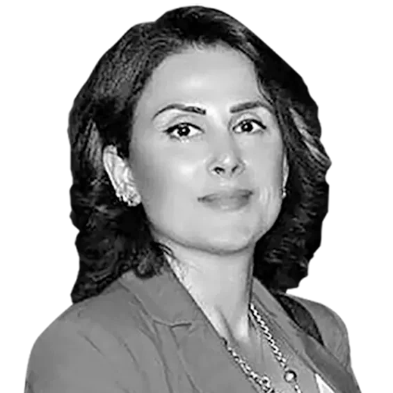 Terörsüz Türkiye “komple temizlik” demek